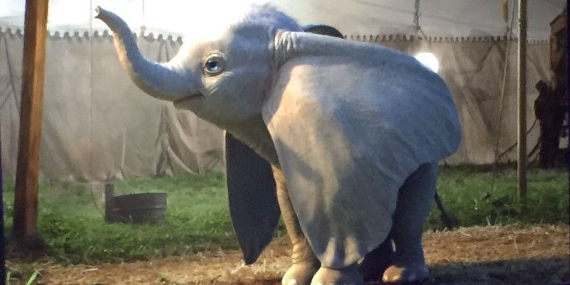 Dumbo: la prima occhiata al live-action di Tim Burton