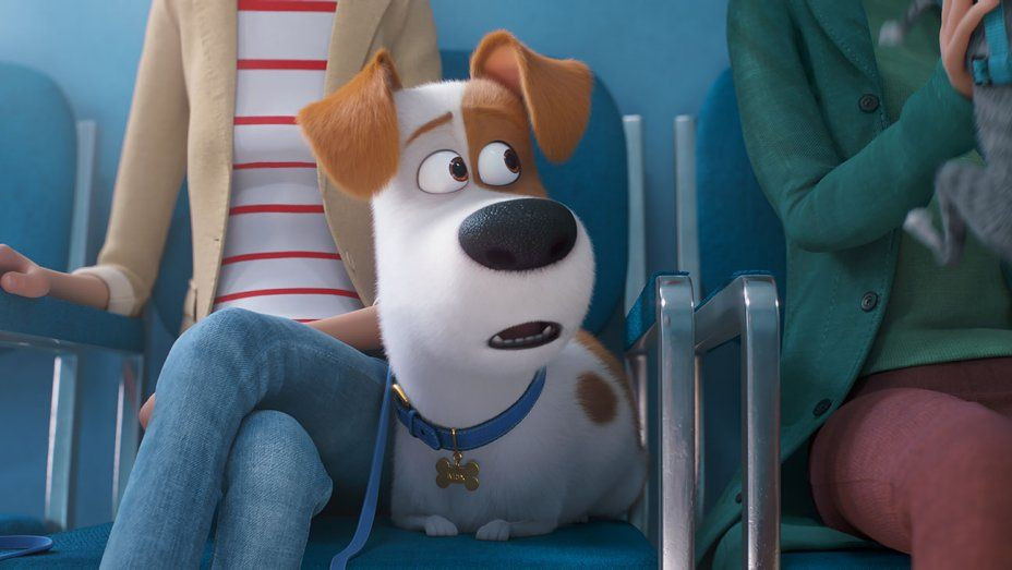 Pet 2: il primo trailer mostra Max dal veterinario