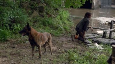 The Walking Dead 9x07: la recensione di 'Stradivarius'