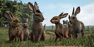 Watership Down: il trailer della miniserie animata di BBC e Netflix
