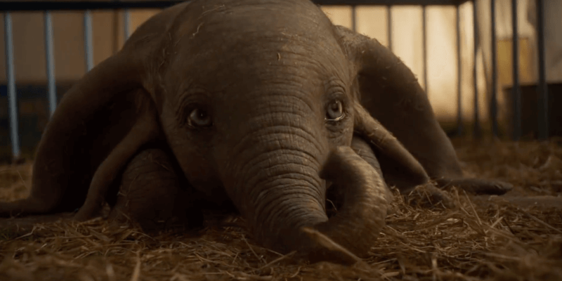 Dumbo: il nuovo trailer del live action diretto da Tim Burton